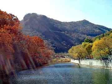 新澳门二四六天天彩，卷板钢管